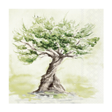 Step 1 — Choose and Book Your Villa & Wedding Date